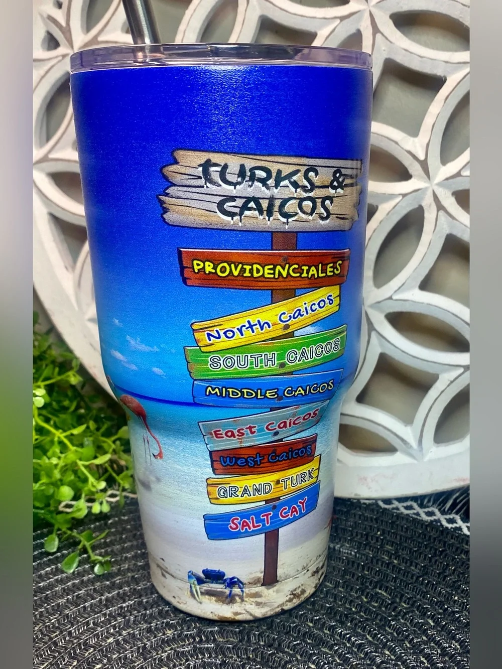NWT Turks & Caicos‎ Beach Scene Tall Tumbler With Metal Straw